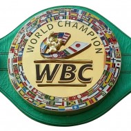 WBC Championship Boxing Belt Leather Adult Titles Belts High quality With Box 