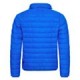 Blue Puffer Jacket Mens